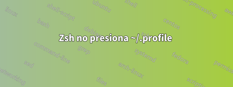 Zsh no presiona ~/.profile