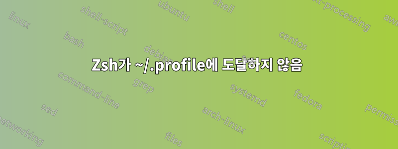 Zsh가 ~/.profile에 도달하지 않음