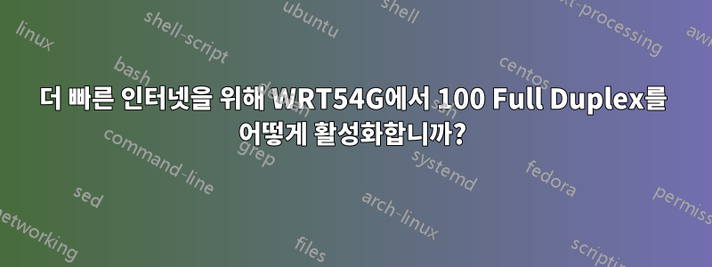 더 빠른 인터넷을 위해 WRT54G에서 100 Full Duplex를 어떻게 활성화합니까?