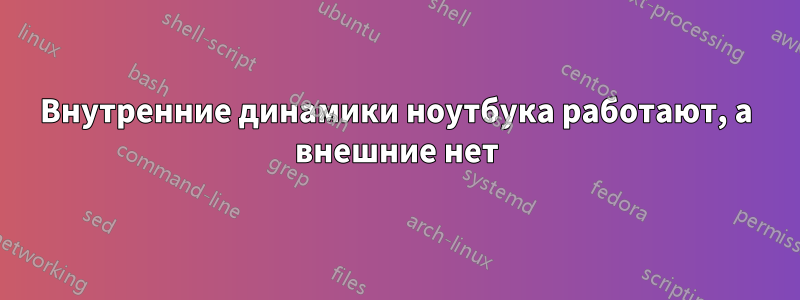 Внутренние динамики ноутбука работают, а внешние нет