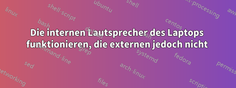 Die internen Lautsprecher des Laptops funktionieren, die externen jedoch nicht