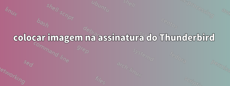 colocar imagem na assinatura do Thunderbird
