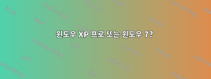 윈도우 XP 프로 또는 윈도우 7?