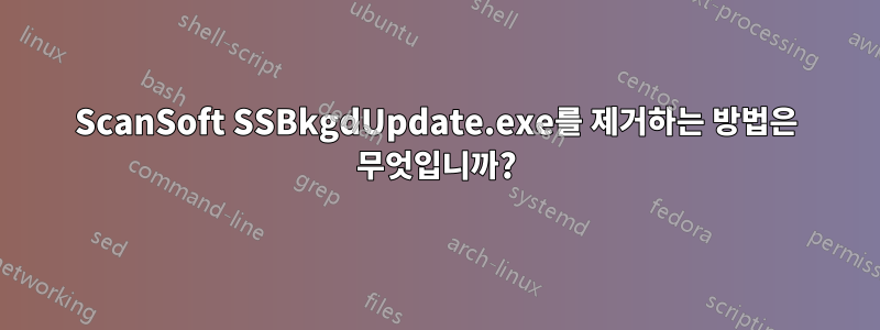 ScanSoft SSBkgdUpdate.exe를 제거하는 방법은 무엇입니까?