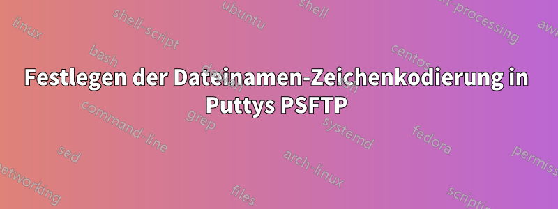 Festlegen der Dateinamen-Zeichenkodierung in Puttys PSFTP