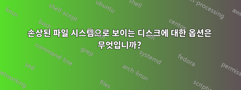 손상된 파일 시스템으로 보이는 디스크에 대한 옵션은 무엇입니까?