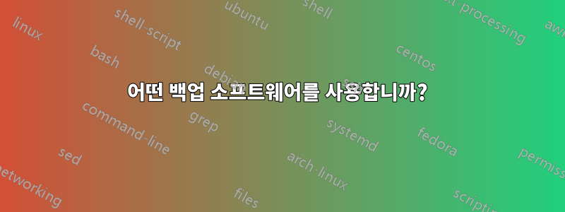 어떤 백업 소프트웨어를 사용합니까? 