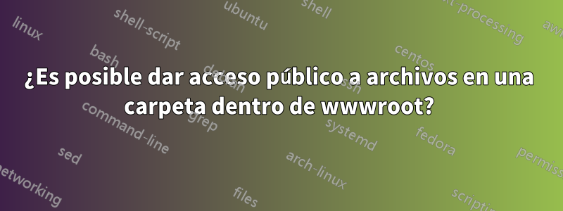 ¿Es posible dar acceso público a archivos en una carpeta dentro de wwwroot?