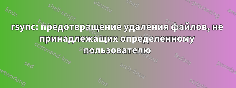 rsync: предотвращение удаления файлов, не принадлежащих определенному пользователю