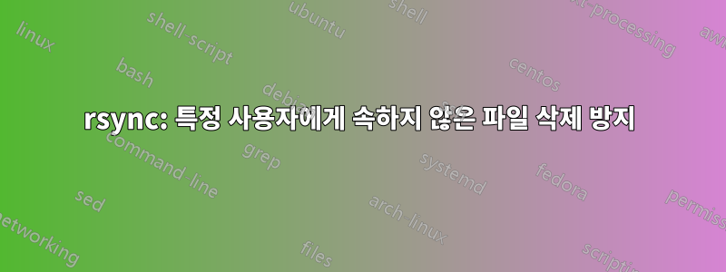 rsync: 특정 사용자에게 속하지 않은 파일 삭제 방지