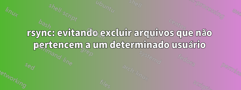 rsync: evitando excluir arquivos que não pertencem a um determinado usuário