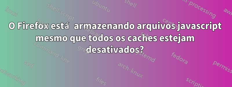 O Firefox está armazenando arquivos javascript mesmo que todos os caches estejam desativados?