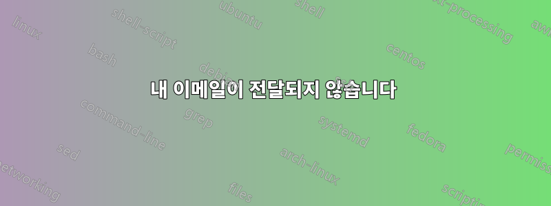 내 이메일이 전달되지 않습니다