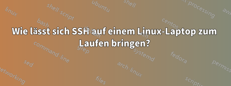 Wie lässt sich SSH auf einem Linux-Laptop zum Laufen bringen?