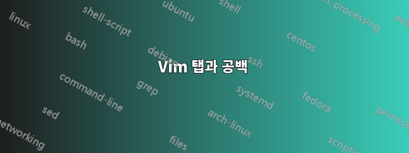 Vim 탭과 공백