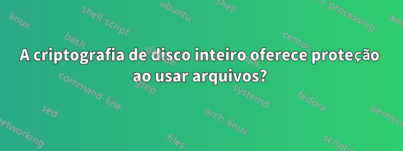 A criptografia de disco inteiro oferece proteção ao usar arquivos?