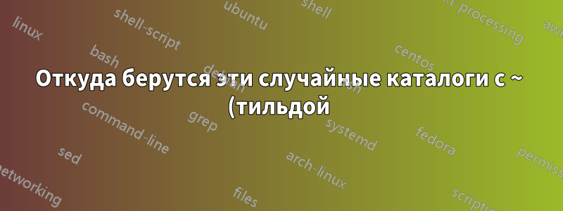 Откуда берутся эти случайные каталоги с ~ (тильдой)?