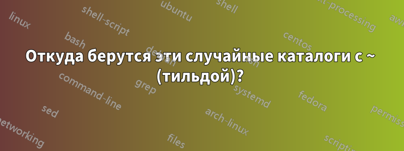 Откуда берутся эти случайные каталоги с ~ (тильдой)?