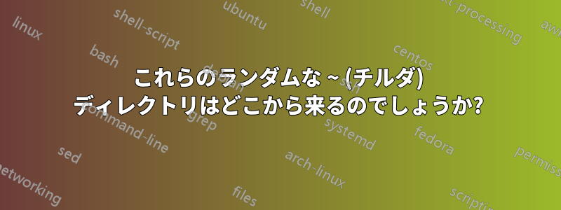 これらのランダムな ~ (チルダ) ディレクトリはどこから来るのでしょうか?