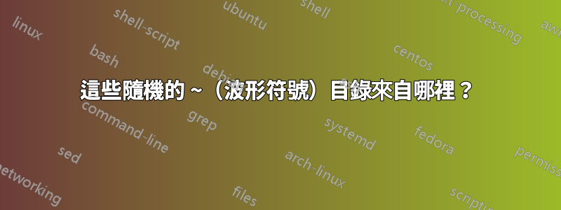 這些隨機的 ~（波形符號）目錄來自哪裡？
