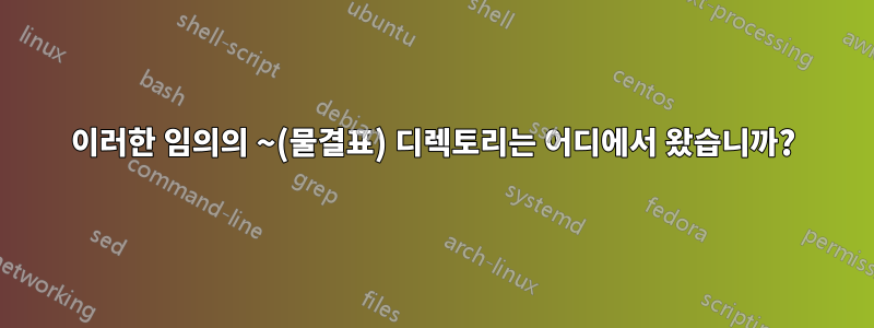 이러한 임의의 ~(물결표) 디렉토리는 어디에서 왔습니까?