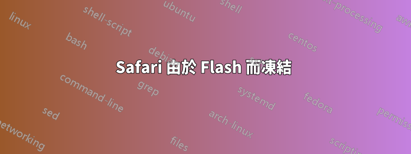 Safari 由於 Flash 而凍結