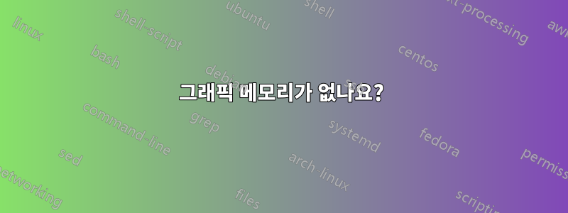 그래픽 메모리가 없나요?