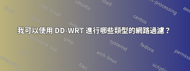 我可以使用 DD-WRT 進行哪些類型的網路過濾？