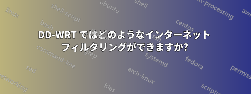 DD-WRT ではどのようなインターネット フィルタリングができますか?