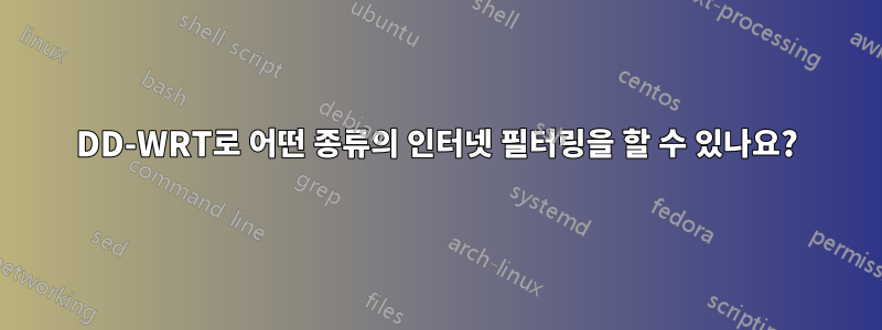 DD-WRT로 어떤 종류의 인터넷 필터링을 할 수 있나요?