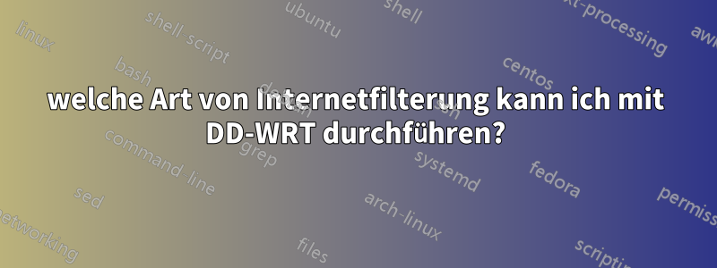 welche Art von Internetfilterung kann ich mit DD-WRT durchführen?