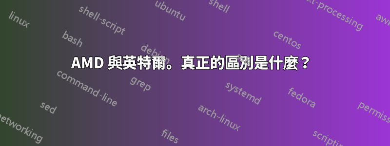 AMD 與英特爾。真正的區別是什麼？ 