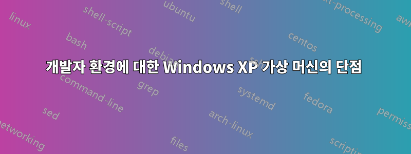 개발자 환경에 대한 Windows XP 가상 머신의 단점