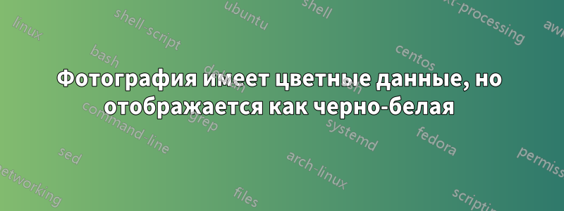 Фотография имеет цветные данные, но отображается как черно-белая