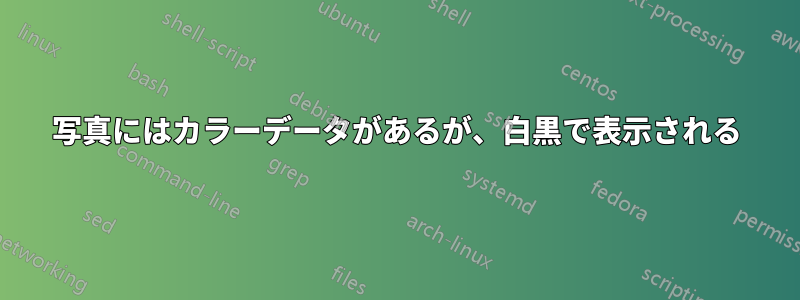 写真にはカラーデータがあるが、白黒で表示される