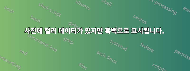 사진에 컬러 데이터가 있지만 흑백으로 표시됩니다.