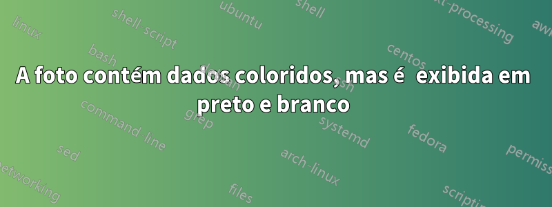 A foto contém dados coloridos, mas é exibida em preto e branco