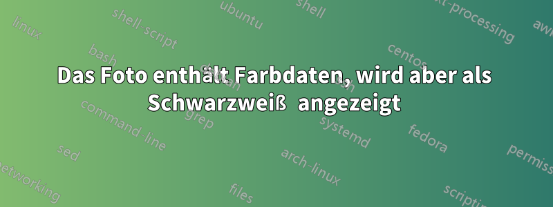 Das Foto enthält Farbdaten, wird aber als Schwarzweiß angezeigt