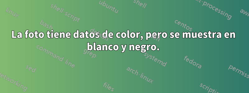 La foto tiene datos de color, pero se muestra en blanco y negro.