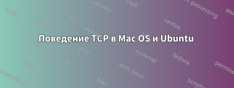 Поведение TCP в Mac OS и Ubuntu