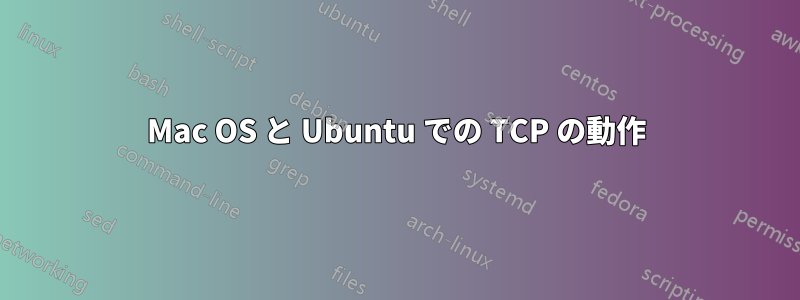 Mac OS と Ubuntu での TCP の動作