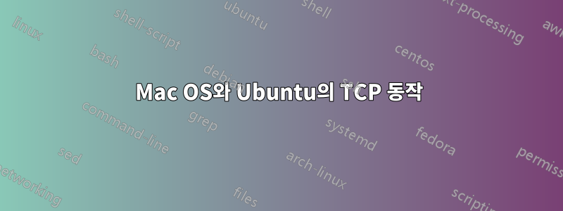 Mac OS와 Ubuntu의 TCP 동작