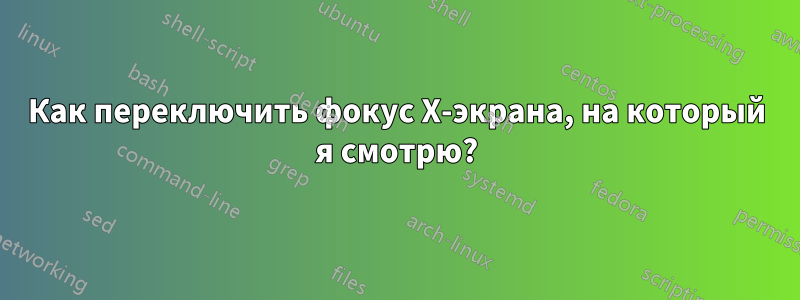 Как переключить фокус X-экрана, на который я смотрю?