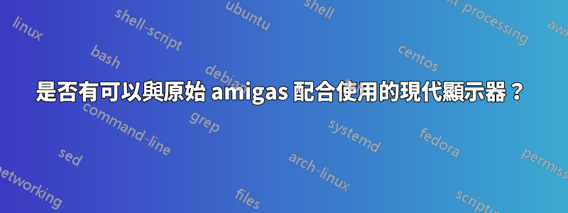 是否有可以與原始 amigas 配合使用的現代顯示器？