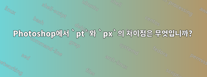 Photoshop에서 `pt`와 `px`의 차이점은 무엇입니까?