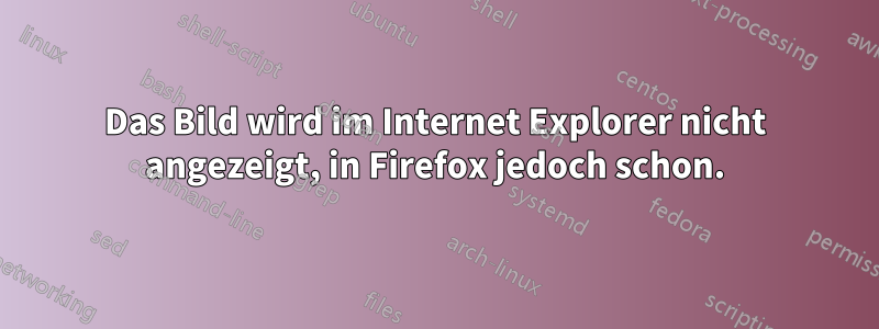 Das Bild wird im Internet Explorer nicht angezeigt, in Firefox jedoch schon.