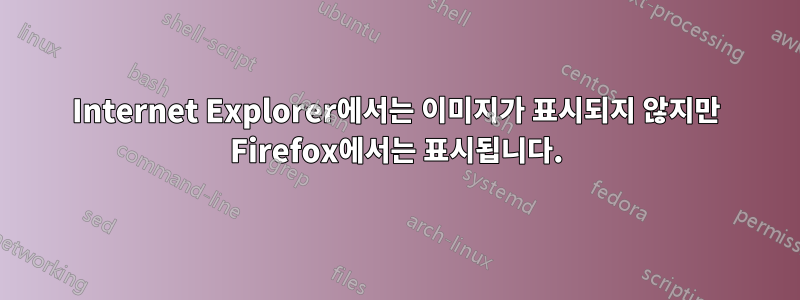 Internet Explorer에서는 이미지가 표시되지 않지만 Firefox에서는 표시됩니다.