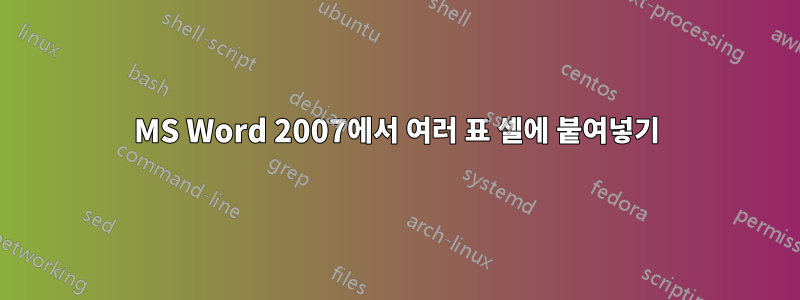 MS Word 2007에서 여러 표 셀에 붙여넣기