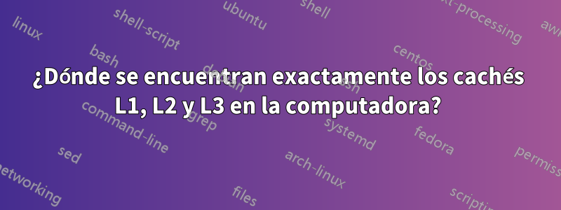 ¿Dónde se encuentran exactamente los cachés L1, L2 y L3 en la computadora?