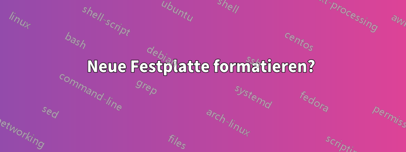 Neue Festplatte formatieren?